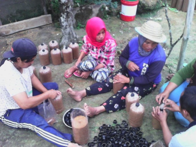 Ibu-ibu dari kelompok Kartika Manunggal sedang membuat medium budidaya jamur (foto – Witono Sasongko)