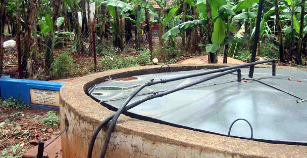 Denpasar: SEKITAR 365 rumah tangga di Bali memanfaatkan biogas dan pupuk organik hasil olahan limbah ternak melalui program pengembangan biogas rumah (BIRU).