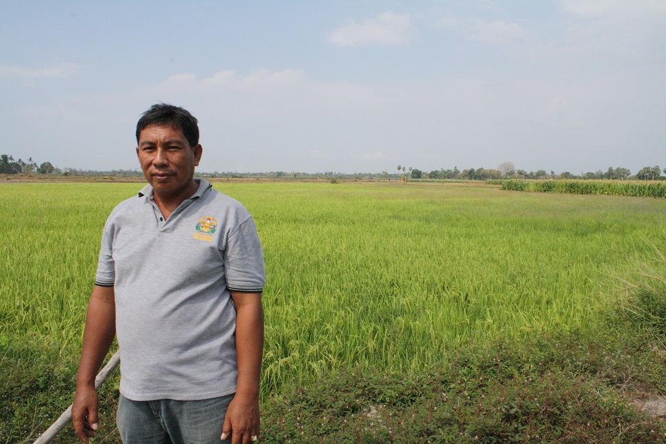 H. A. Haris Nai di depan tanaman padinya yang diberi pupuk bio-slurry