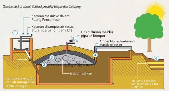 Tentang Bio Slurry  Biogas Rumah